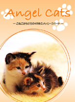 �G���W�F���L���b�g