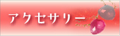 �A�N�Z�T���[